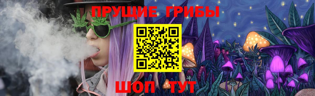 Королёв  Галлюциногенные грибы Magic Shrooms  Вход с VPN 